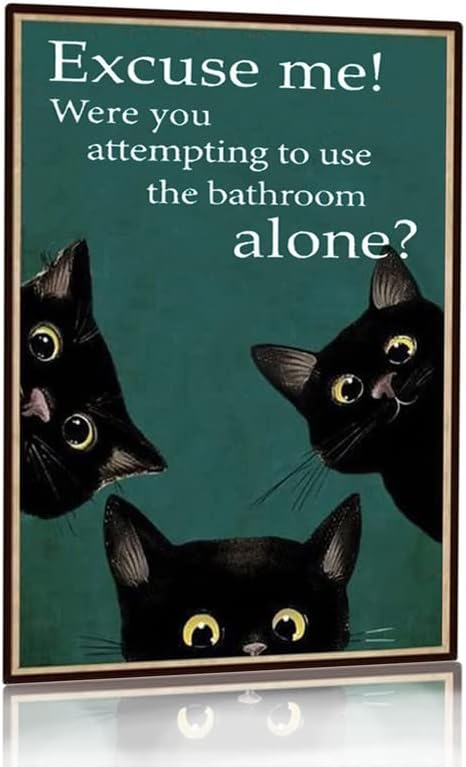 Home Alone Bathroom - Panneau décoratif amusant en métal «